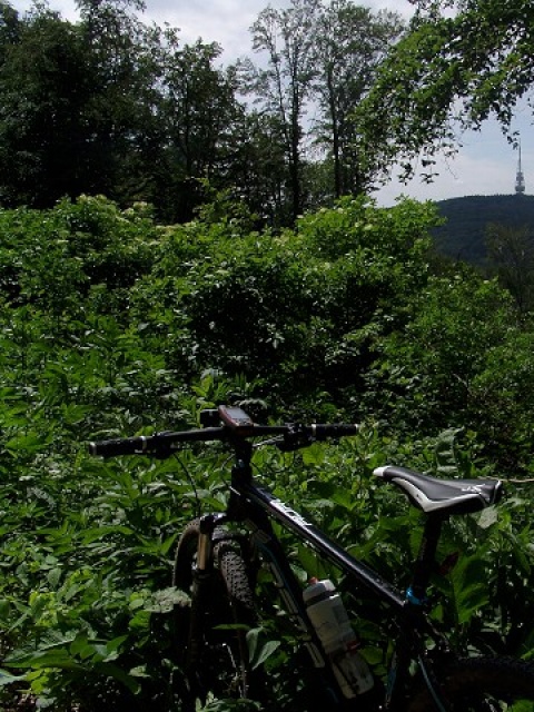 Green Bike Tour - celá trasa