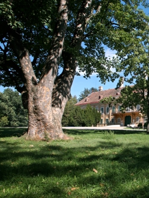 Zámocký park Malacky