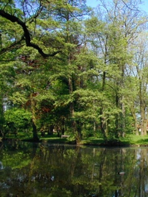 Zámocký park Pezinok