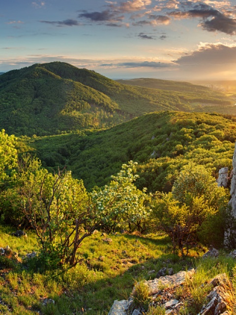 Vápenná (Roštún)